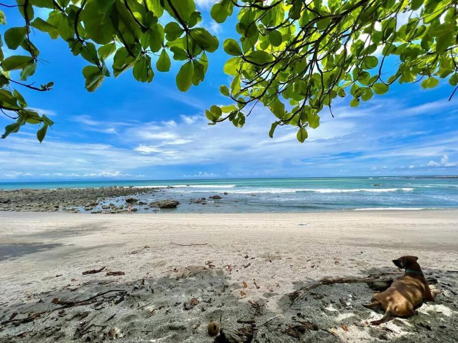 Finca Makai, Rodeado De Naturaleza, 10Min A Montezuma Villa Buitenkant foto